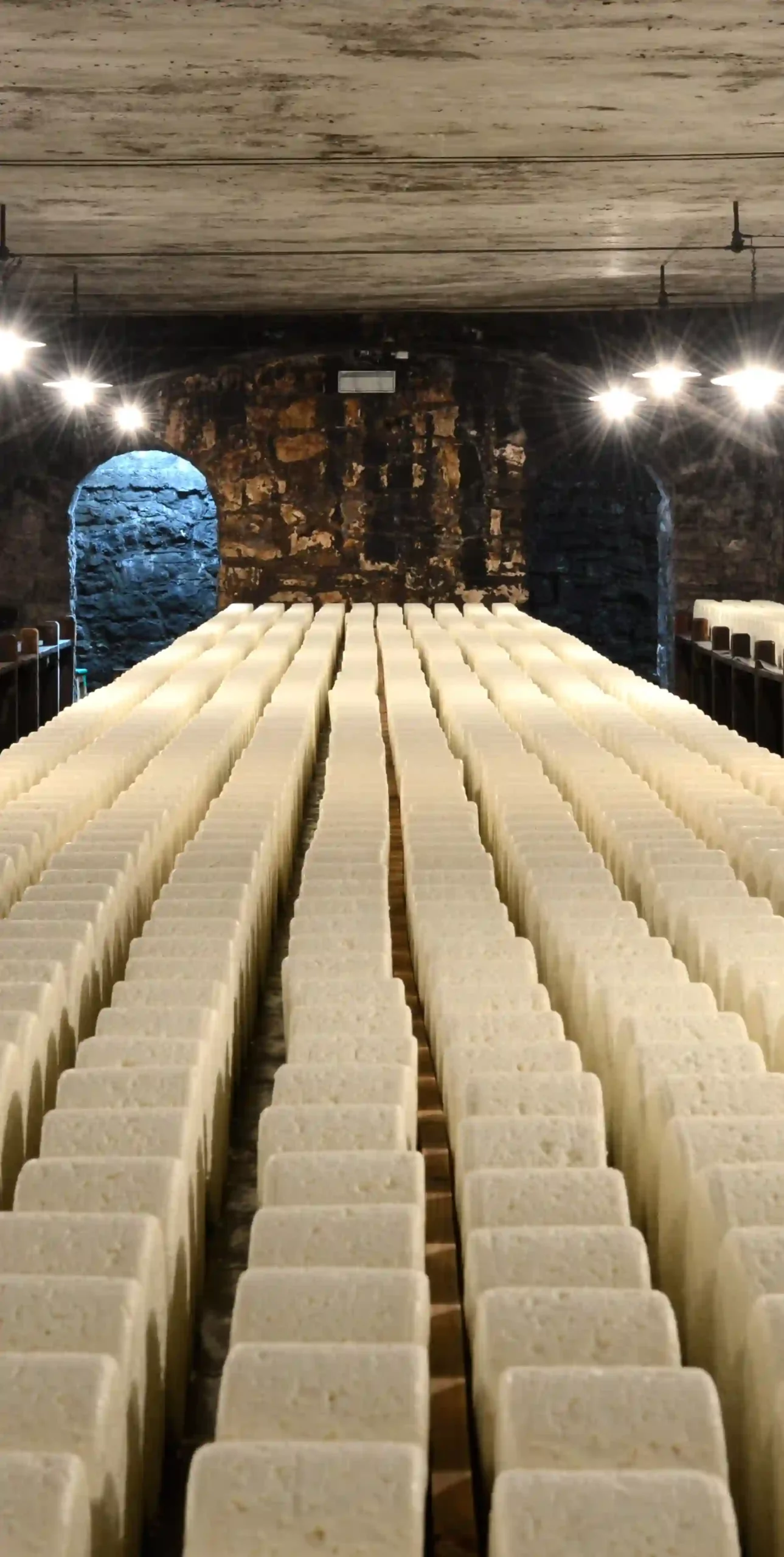 Les caves de Roquefort  entre savoir-faire et saveurs