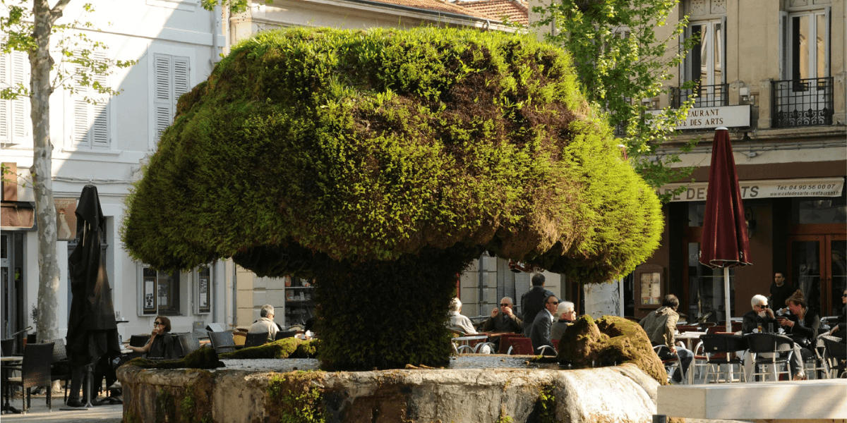 fontaine moussue
