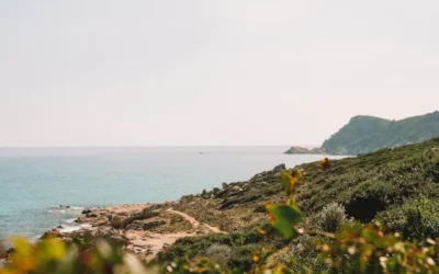 Que faire à Fréjus ?