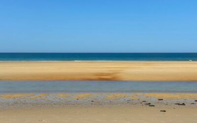 Que faire à Biscarosse ?