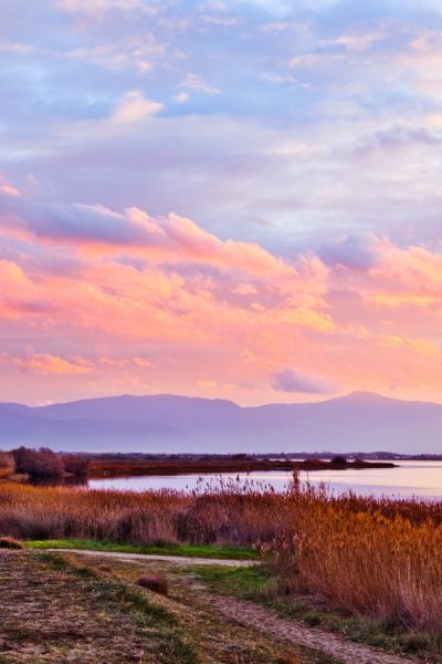 Étang de Canet-en-Roussillon - Stations Classées