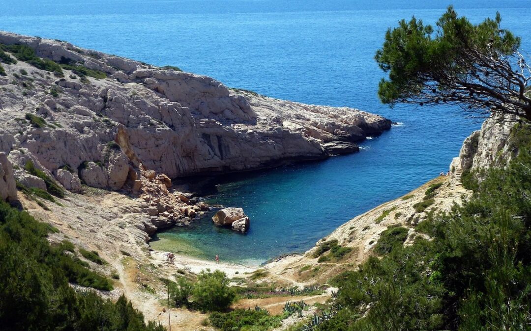 Que faire à Marseille ?