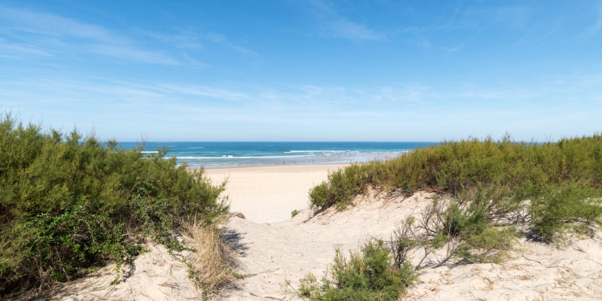 Océan à Mimizan - Stations Classées