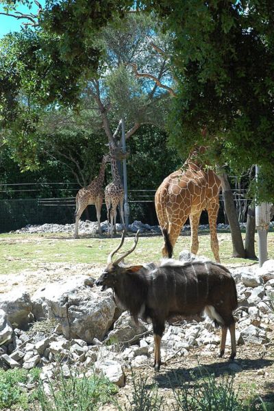 Parc zoologique à Montpellier -Stations Classées