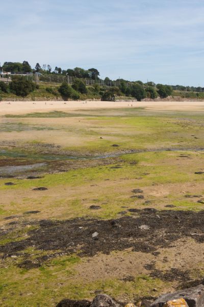 Plage du Moulin Blanc à Brest - Stations Classées