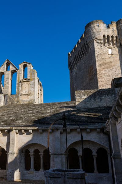 Abbaye de Montmajour à Arles - Stations Classées