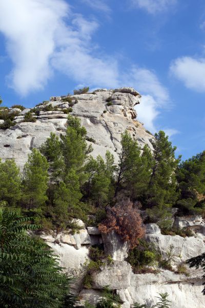 Sentiers de randonnées proche de Baux-de-Provence - Stations Classées