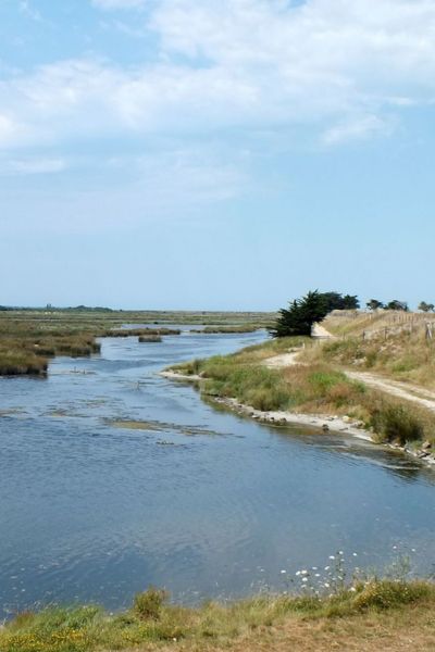 Réserve naturelle du polder Sébastopol de Noirmoutier - Stations Classées