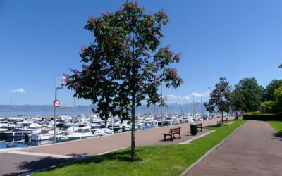 Que faire à Evian les Bains ?