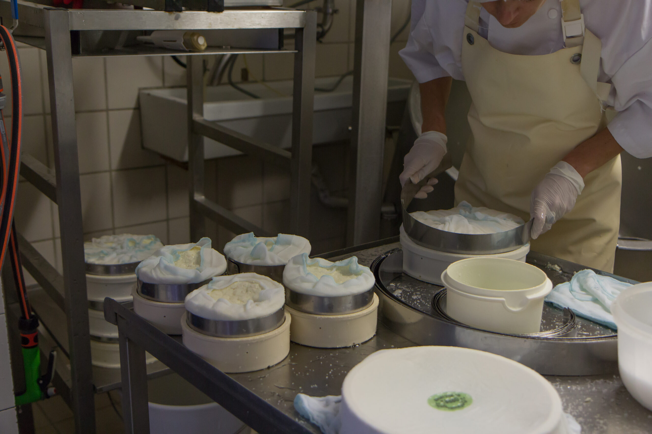 Fabrication du Saint Nectaire - OT Sancy