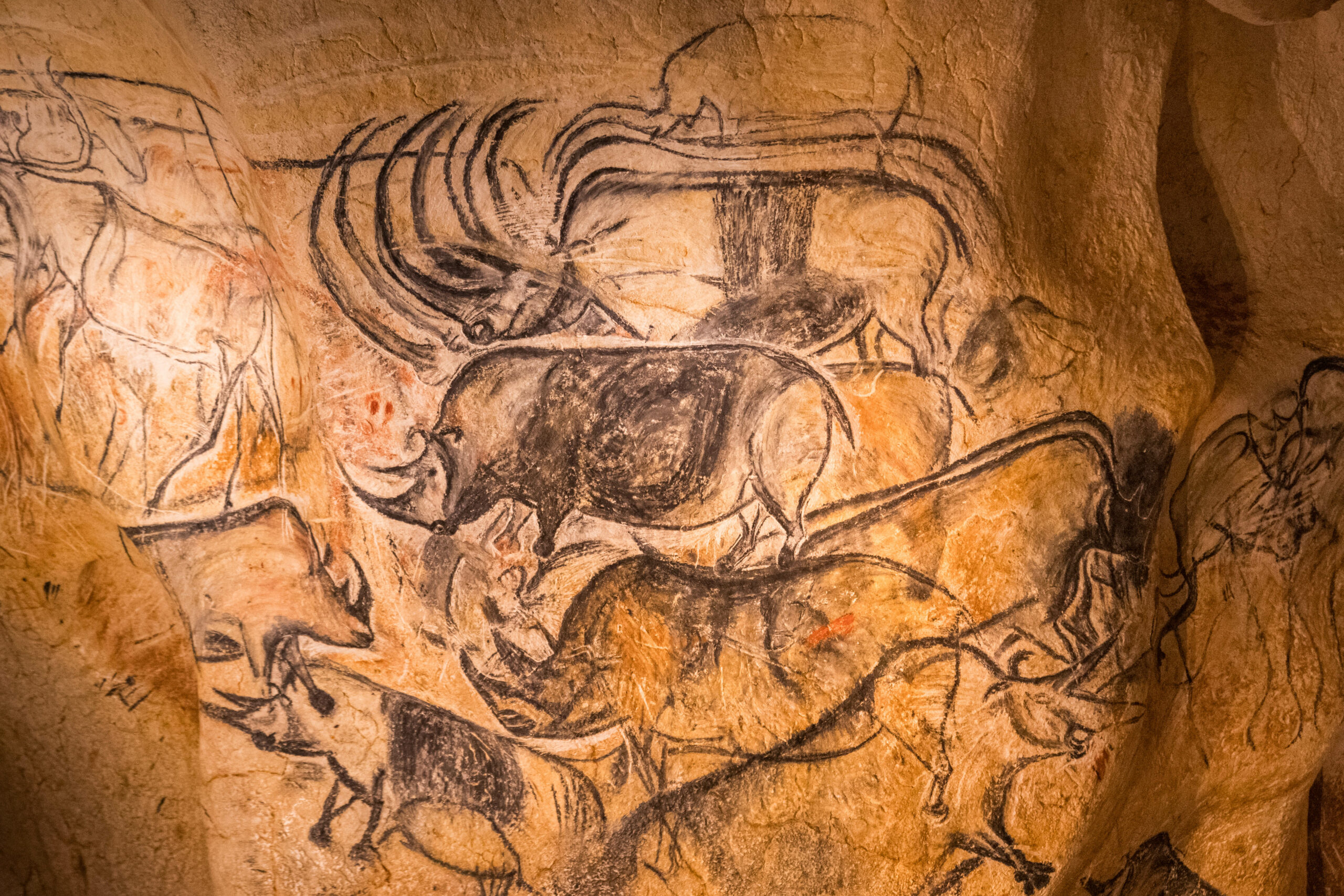 grotte chauvet-station classée-ardèche