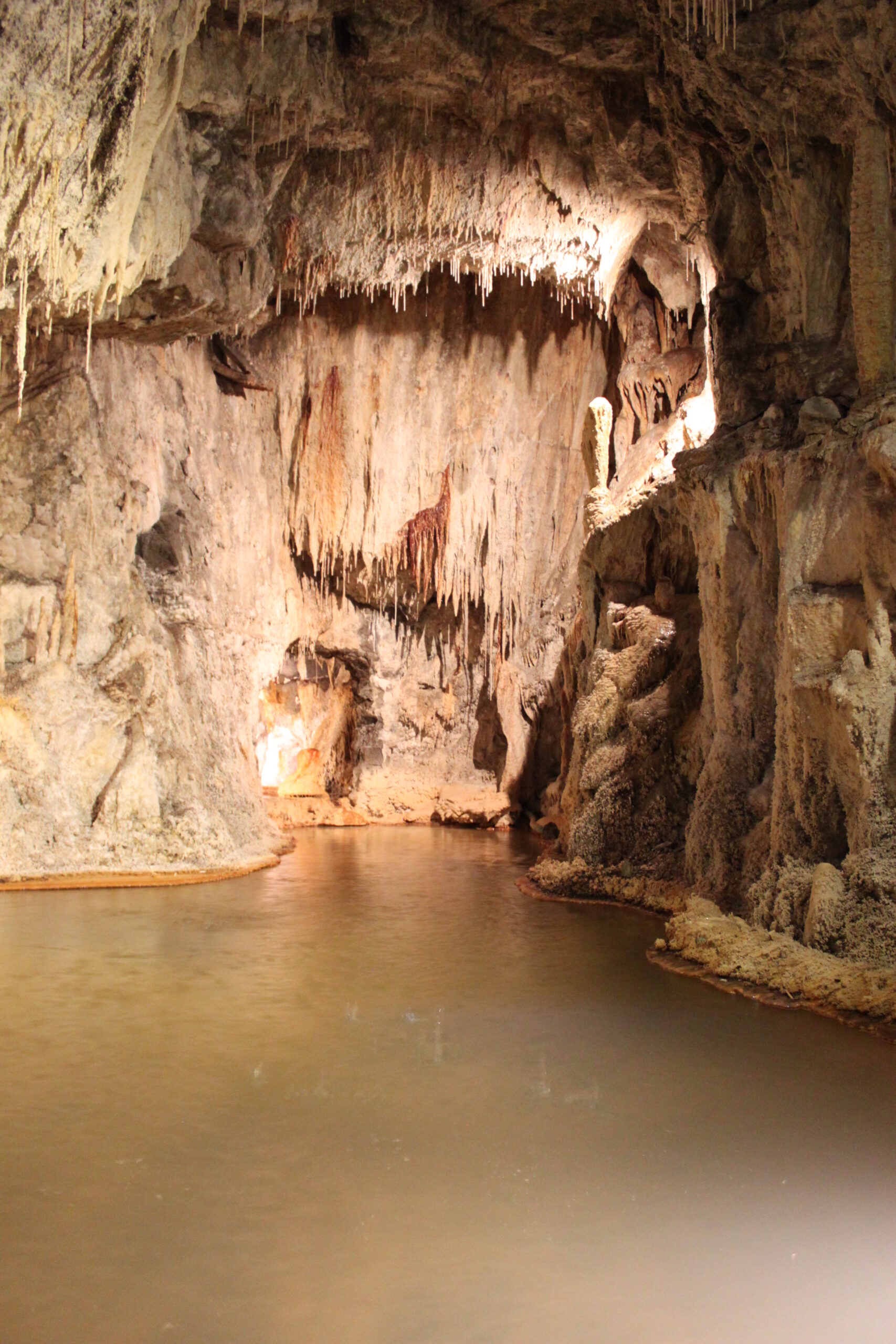 By photography by Christophe.Finot, CC BY-SA 3.0, 