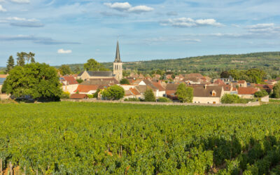 Que faire à Santenay ?