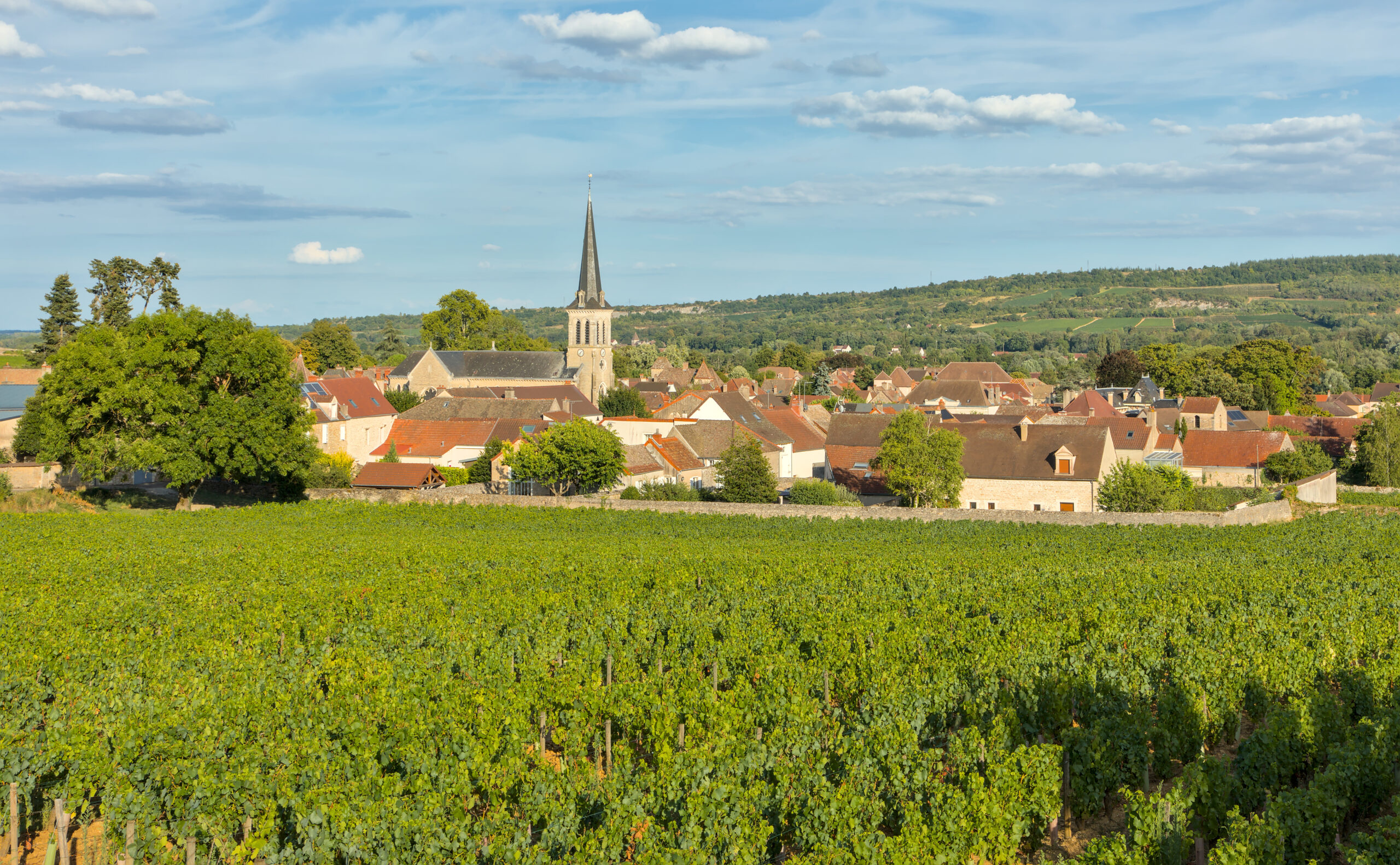 Santenay - Station Classée