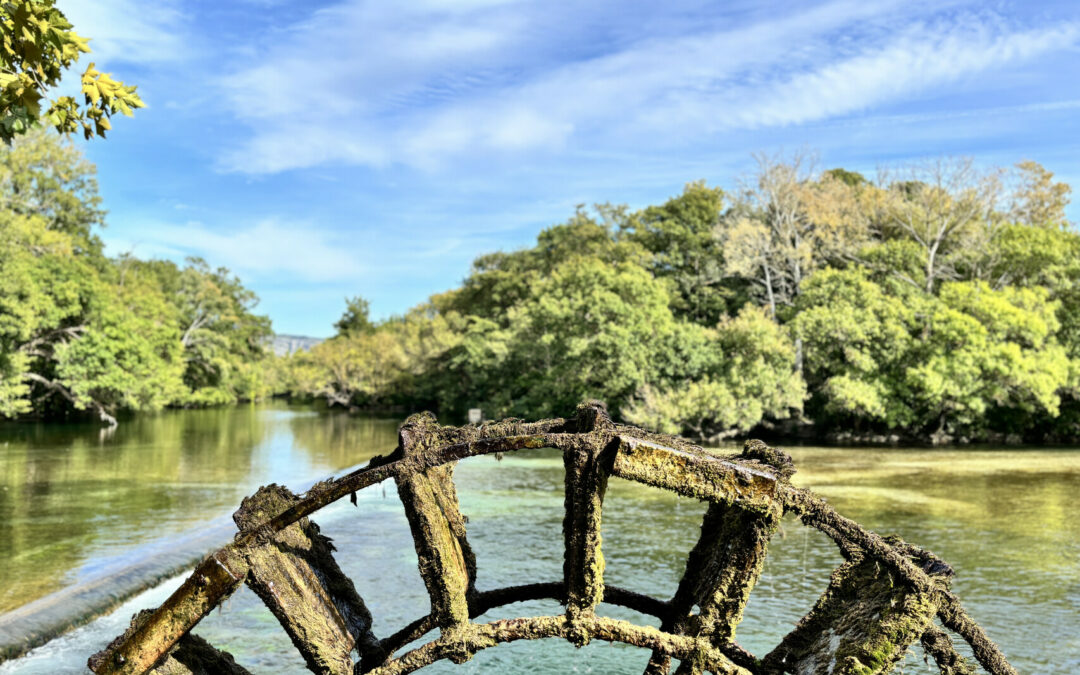 Que faire à L&rsquo;Isle-sur-la-Sorgue ?