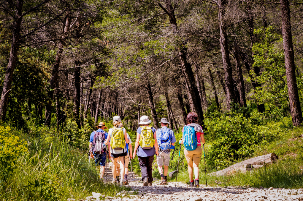 Rando Saint Rémy de Provence - Station Classée