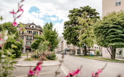 Que faire à Annemasse
