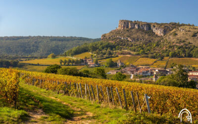 Que faire à Mâcon ?