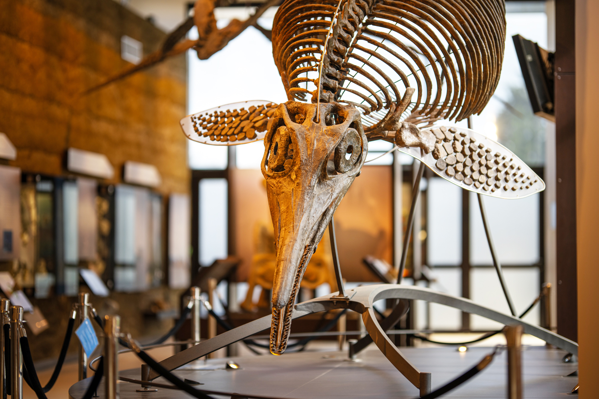 Paléospace - Villers sur Mer - Station Classée