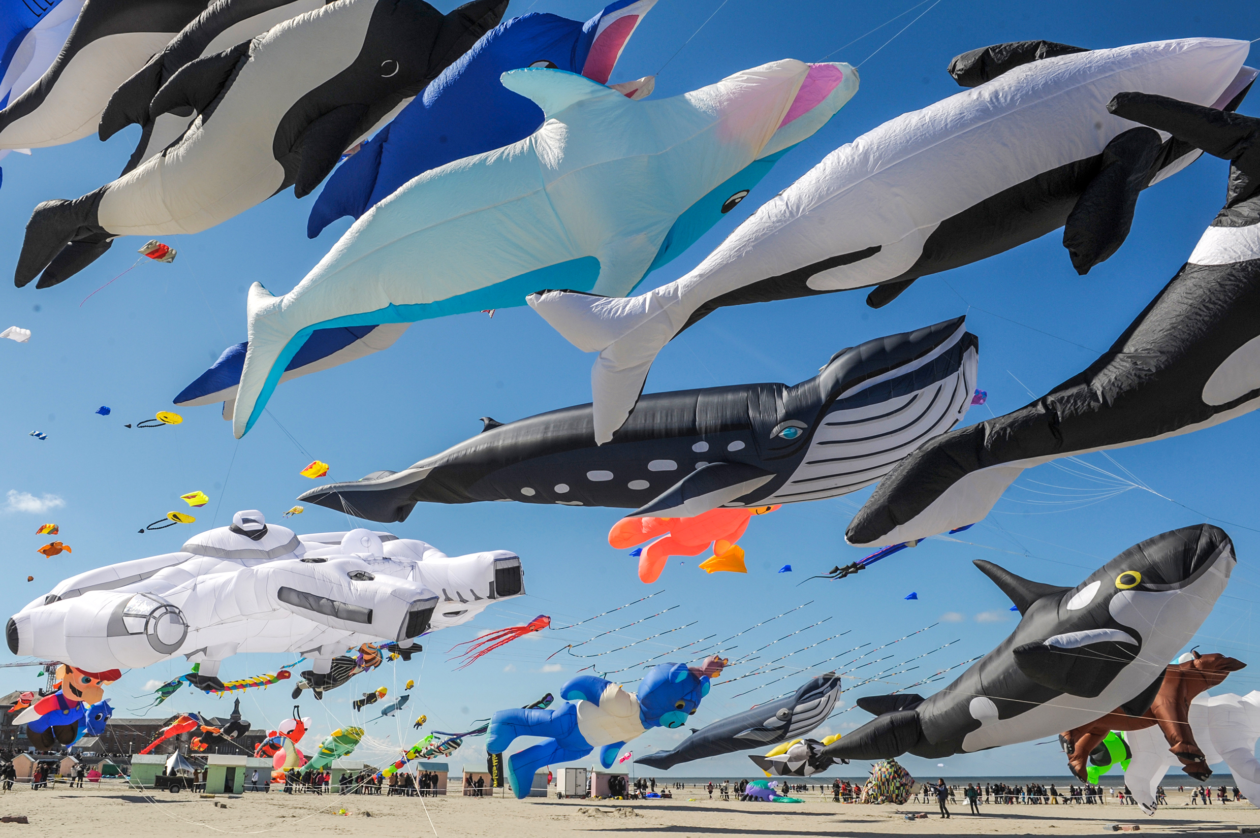 Rencontres internationales des Cerfs Volants - Berck sur Mer - Station Classée