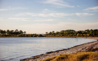 Que faire à Andernos-les-Bains ?