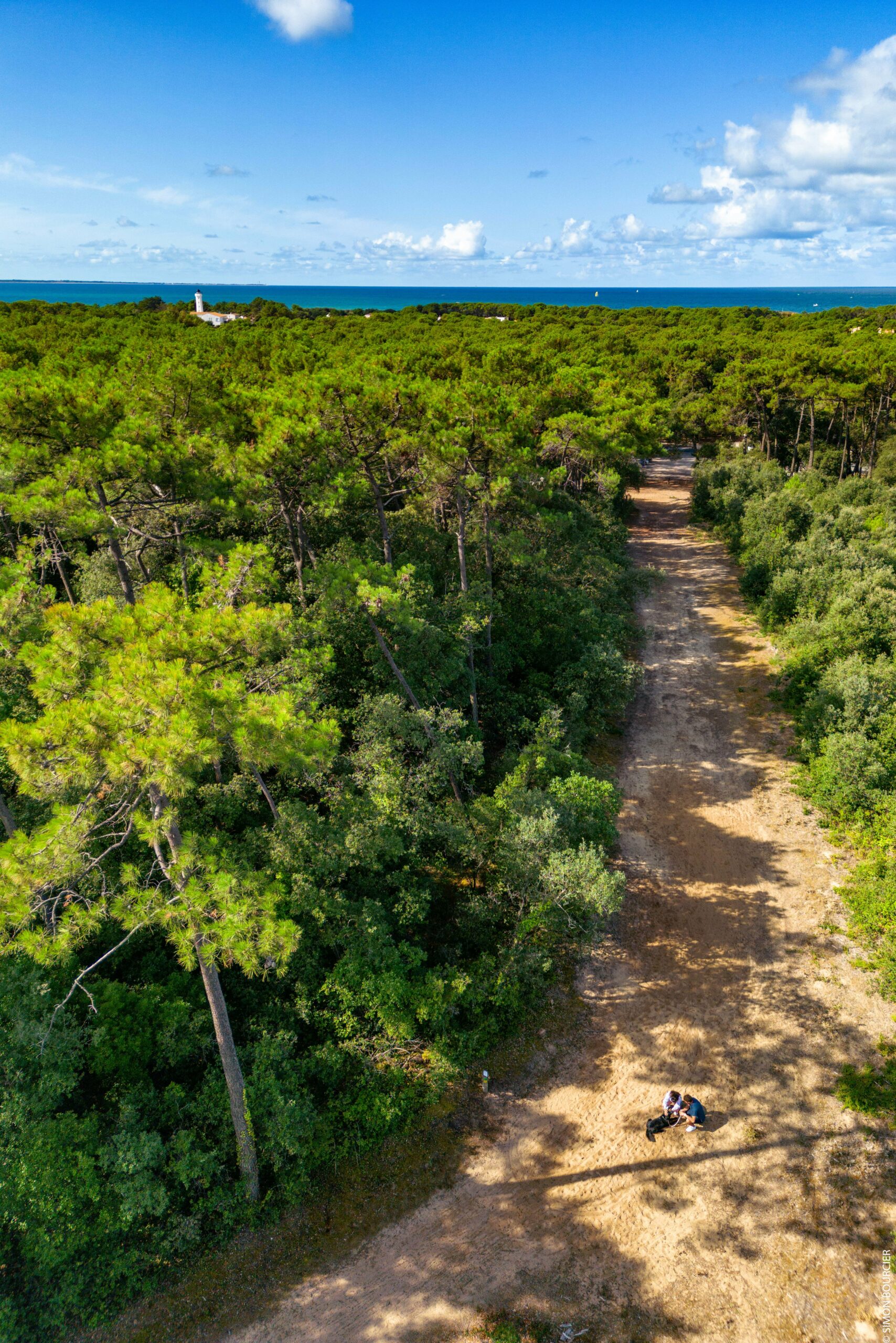 Forêt de La Tranche sur Mer - Station Classée 