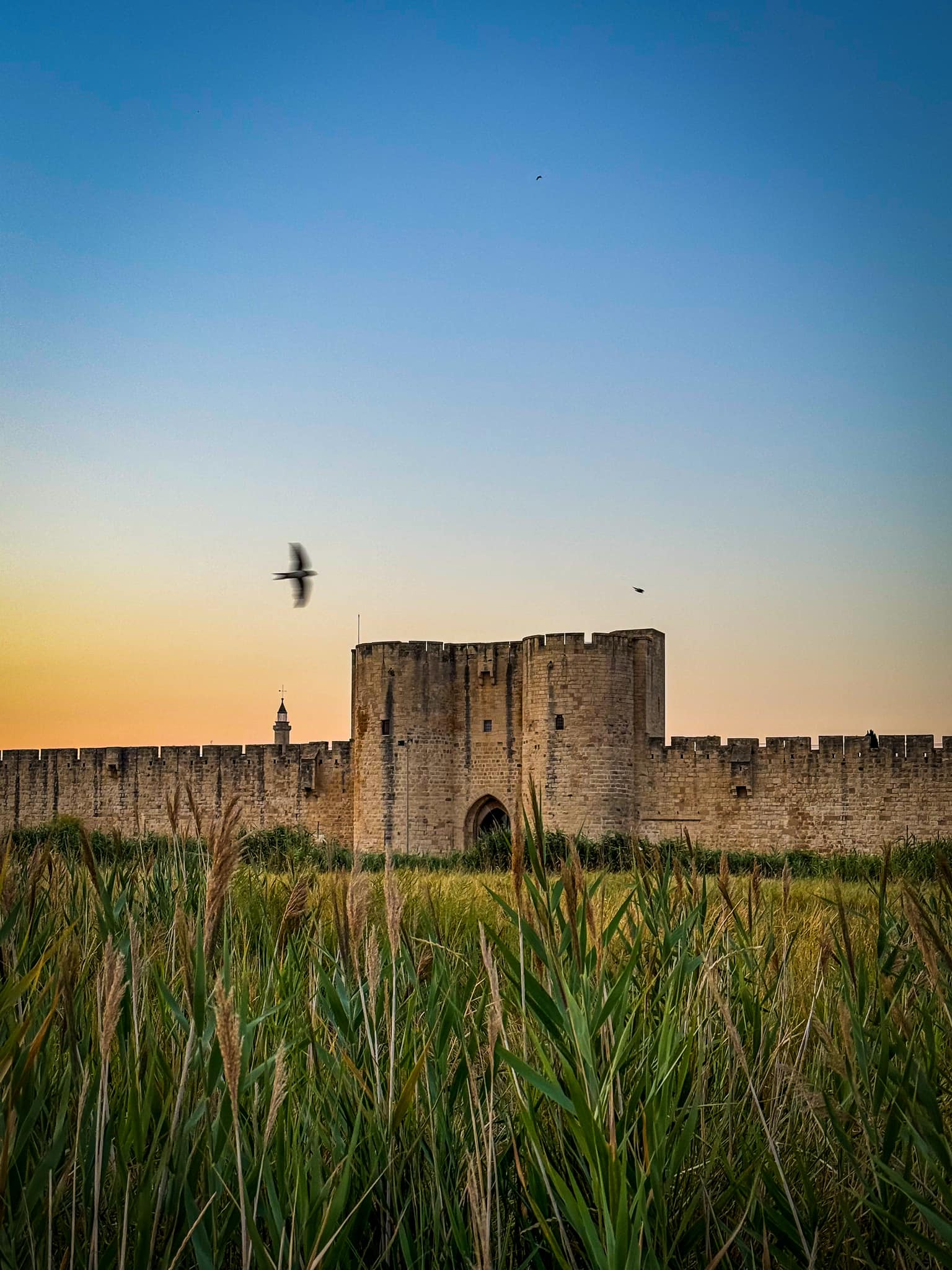 Remparts - Aigues Mortes - Station Classée