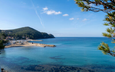 Que faire à Saint-Cyr-sur-Mer ?
