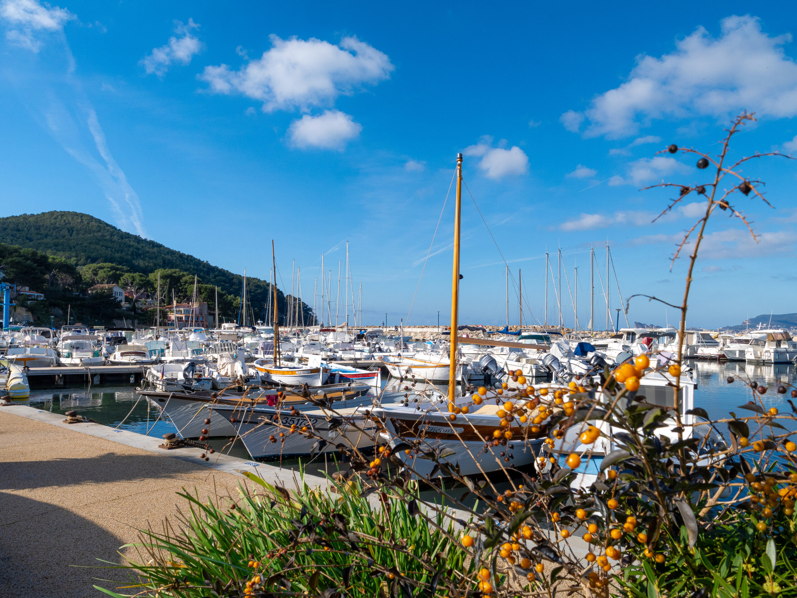 Port de la Madrague - Saint Cyr sur Mer - Station Classée