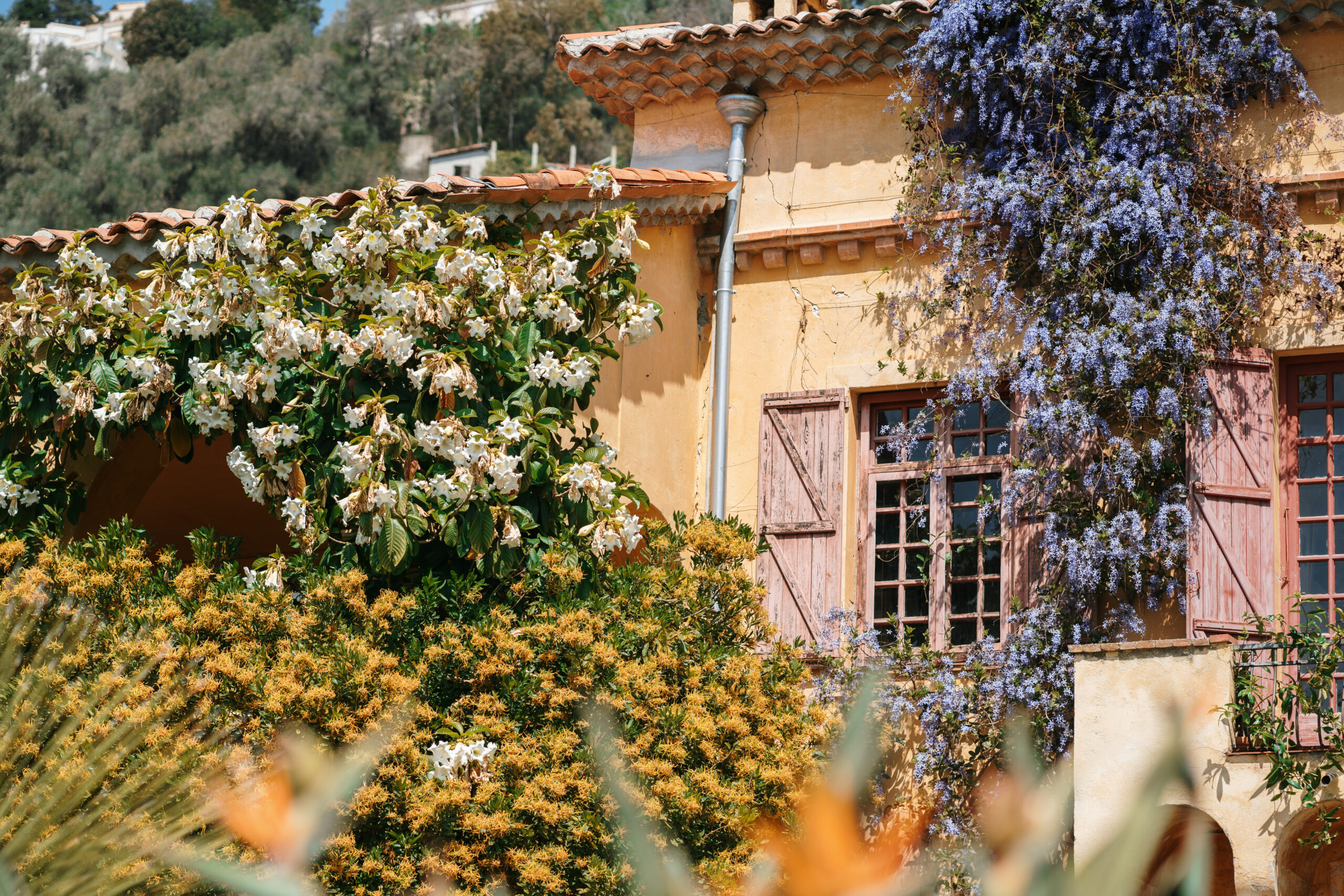 Jardin Val Rahmeh - Station Classée - ANETT